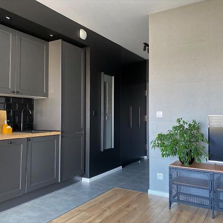 Apartament City Spa - Sokolska 30 Towers Katovice Exteriér fotografie